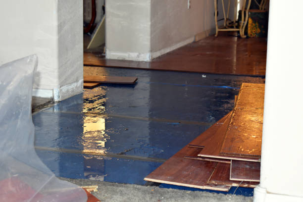 Professional Water Damage Restoration technician working in Union City, IN